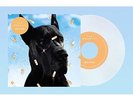 The Wombats: Bee-Sting Clear 7