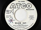 Funk Soul Mod 45 - Brian Auger & the Trinity - Black Cat - ATCO - mp3