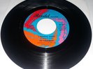 The Parliaments 45 I Wanna Testify / I Can Feel The Ice Melting REVILOT 1967 EX
