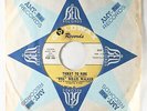 Northern Soul 45 - Wee Willie Walker - Ticket To Ride - Goldwax - VG++ mp3