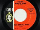 Northern Soul Girl Group 45 - Breakaways - That's How It Goes - Cameo - mp3