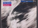 PETER GABRIEL & KATE BUSH: don't give up GEFFEN 12