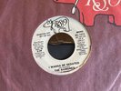 The Ramones “I Wanna Be Sedated” Promo 45 NM