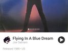 Vinyl Record Joe Satriani
