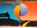 Bobby Caldwell S/T 1978 What You Won't Do For Love & Carry On OOP RARE ORIGINAL