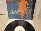 The Lightning Seeds - Tilt - Vinyl Promo Record - RARE Numbered LP