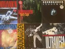 PRICE DROP  Soundgarden Chris Cornell SIGNED  Vinyl and AIC 12