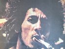 BOB MARLEY AND THE WAILERS - CATCH A FIRE - VINYL LP  