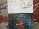 RARE LP RECORD 1ST PRESS ON 4AD LABEL PALE SAINTS IN RIBBONS SUPERB EX