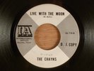 The Chayns Live With The Moon/Night Time Promo Rare Texas Garage Psych IA label