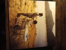 Censored Colors - Portugal. The Man Very Rare  Vinyl LP
