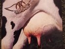 Aerosmith - Get A Grip. Vinyl Album. Excellent Condition (1993)