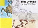 Blue Orchids - Speed The Day (Vinyl) PICI-0035-LP