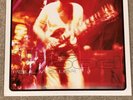 Paul Weller Live Wood