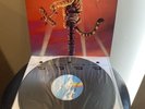 Tygers of Pan Tang - Crazy Nights Vinyl NM UK Pressing 1981 - Metal Whitesnake
