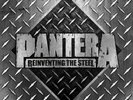 Pantera 'Reinventing The Steel' 2x12