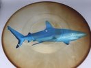 CHINA CRISIS you did cut me rare uncut shaped picture disc shark