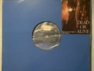 Dead or Alive - Something In My House 12