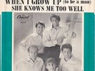 The Beach Boys 