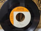 RARE OHIO FUNK 45/ RICKY HODGES 