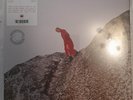 Cate Le Bon - Reward LTD/RARE DINKED/SIGNED RED, WHITE, BLACK SPLATTER VINYL LP