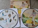 ELTON JOHN Goodbye Yellow Brick Road LTD ED PICTURE DISC Elton John