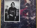 Ice Cream For Crow - Captain Beefheart - LP - 1982 - Virgin