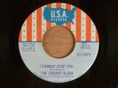 The Cherry Slush  Don't Walk Away/I Cannot Stop You  Promo  RARE  Garage, Psych