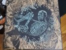 Pat The Bunny / Ceschi split 12” record