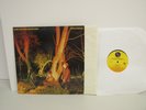 Echo & The Bunnymen Crocodiles Original Inner Sleeve Rock LP