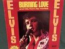 Elvis Presley RCA CAS-2595 Burning Love & Hits Movies LP Camden 1972 Photo NM