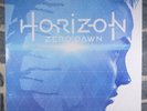 Horizon: Zero Dawn - Official Soundtrack (coffret 4 Vinyles)