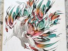 Okami - Masami Ueda - Ed. coleccionista - Data Discs