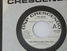 GARAGE ROCK-THE SEEDS - THE WIND BLOWS YOUR HAIR - 1967 GNP CRESCENDO PROMO HEAR