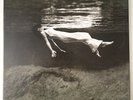 Bill Evans - Jim Hall – Undercurrent (Mobile Fidelity Sounds Lab Reissue LP)