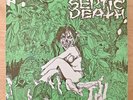 Septic Death – Need So Much Attention • Acceptance Of Whom VG/G- CLEAR VINYL