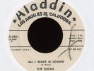 Rockabilly 45 - Flip Sloan - All I Want is Loving on Aladdin Promo P.F. Sloan