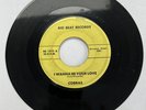 Cobras - I Wanna be Your Love (Big Beat Records BB 1002) VG/Generic