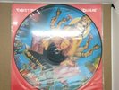 Robert Plant – I Believe(picture disc)