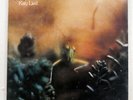 STEELY DAN KATY LIED PROBE IPS80181 JAPAN VINYL LP