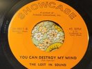 New York Garage Punk 45 The Lost In Sound You Can Destroy My Mind NM HEAR