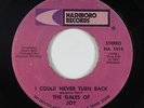 Soul Funk Gospel 45 - Gales Of Joy - I Could Never Turn Back - Nashboro - mp3