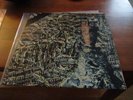 SIOUXSIE & THE BANSHEES - JuJu - Lp - 1st Press - 1981   - Joy Division
