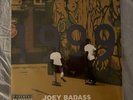 Joey Badass-1999-Vinyl-LP-green & clear marble RARE   vg+