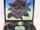 THIN LIZZY ‘Black Rose’ 1979 LP + Inner Sleeve on Vertigo Spaceship Labels – D26