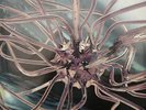 The Future Sound Of London - Cascade (Vinyl)