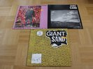 Giant Sand/Howe Gelb - Vinylplatten - Valley of rain, Dreaded brown recluse