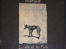 Wunderhorse - Leader Of The Pack / Butterflies Rare 7” Record VINYL  Sealed