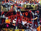 Yeah yeah yeahs - Fever to Tell Vinyl Lp