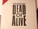 Dead Or Alive - Youthquake - Picture Disc - Japan with OBI